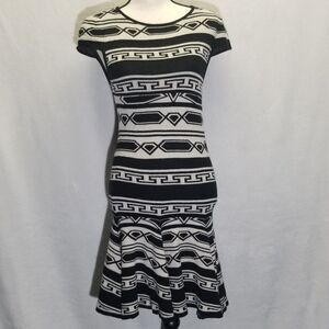 ALICE & OLIVIA Dress Sz S Black Ivory Sweater Stripe Darby Knit Aztec Drop Waist